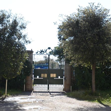 Villa Anselmi - Arteindiretta Livorno Esterno foto