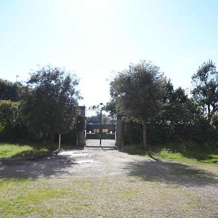 Villa Anselmi - Arteindiretta Livorno Esterno foto